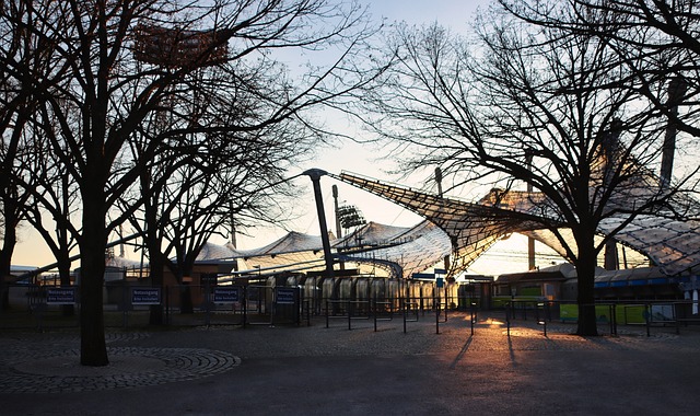 單是與球隊 單是與球隊