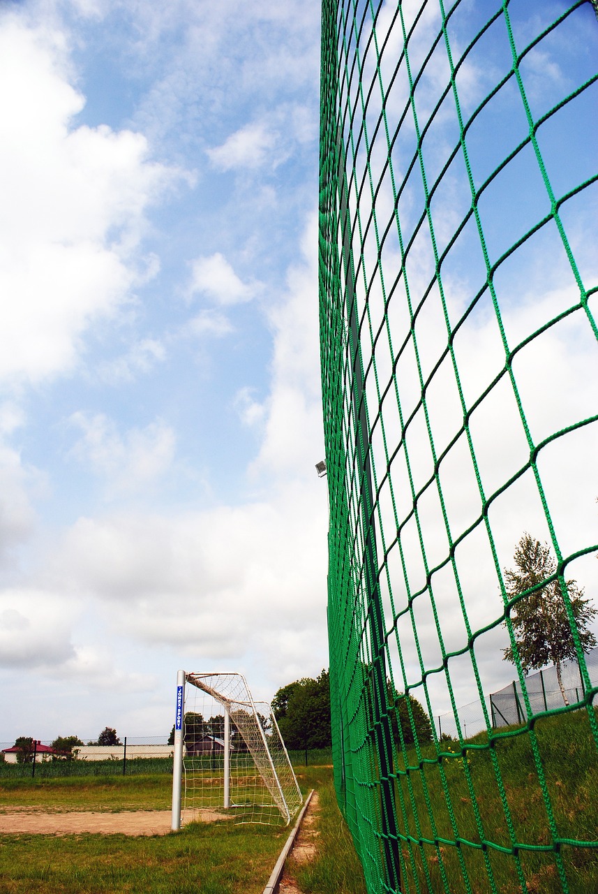 篮球父子 篮球父子