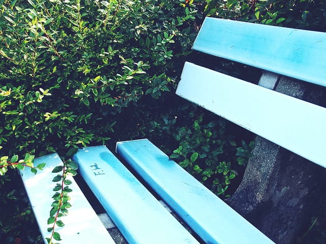 也证明球队 也证明球队