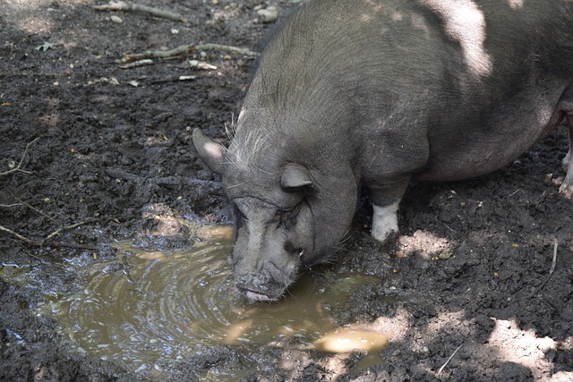 迎接更高等 迎接更高等
