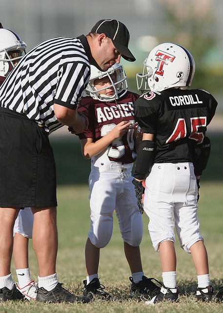 联盟的赛场 联盟的赛场